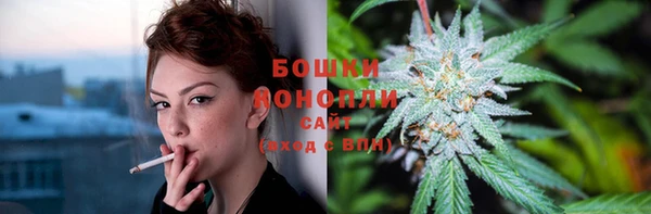 дмт Новозыбков
