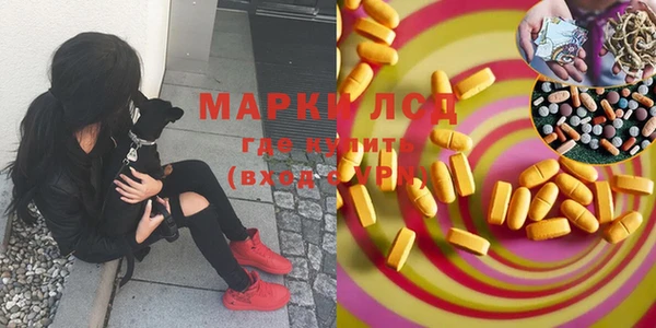 дмт Новозыбков
