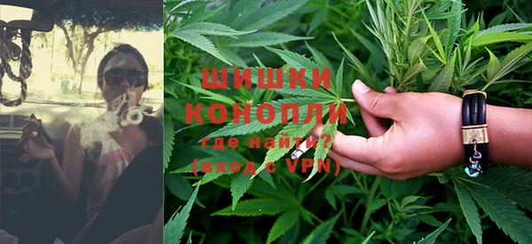 дмт Новозыбков
