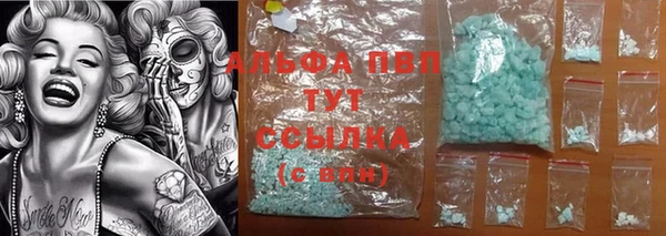 дмт Новозыбков