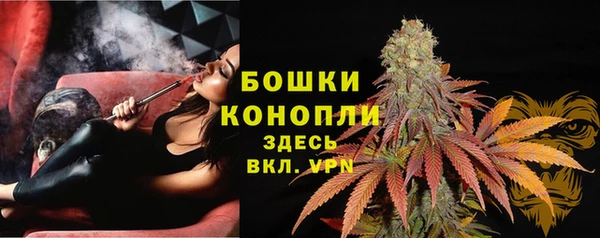 прущая мука Новодвинск