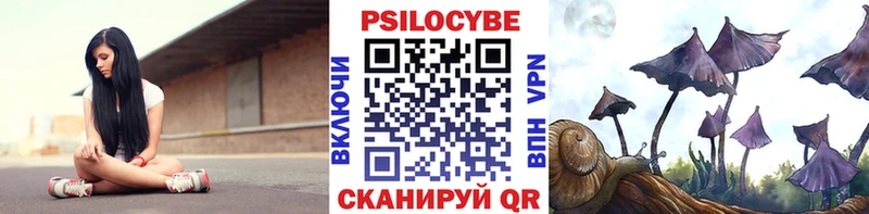 Псилоцибиновые грибы Magic Shrooms  Шилка 